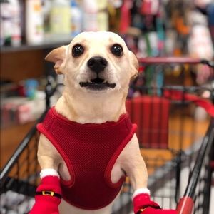 Meet your Posher, Alan